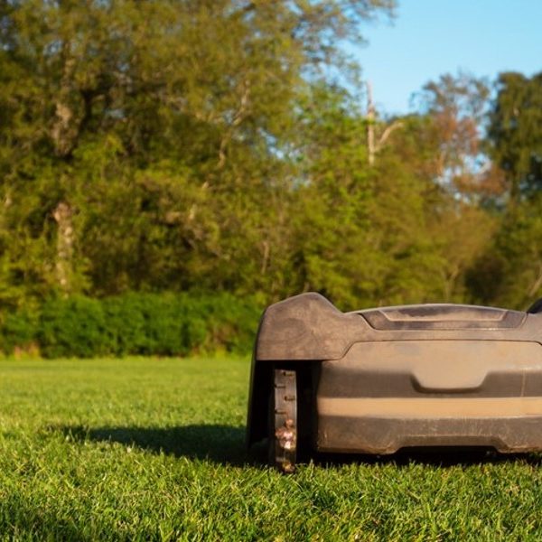 Kako najbolje poskrbeti za okolico doma vse dni v letu?